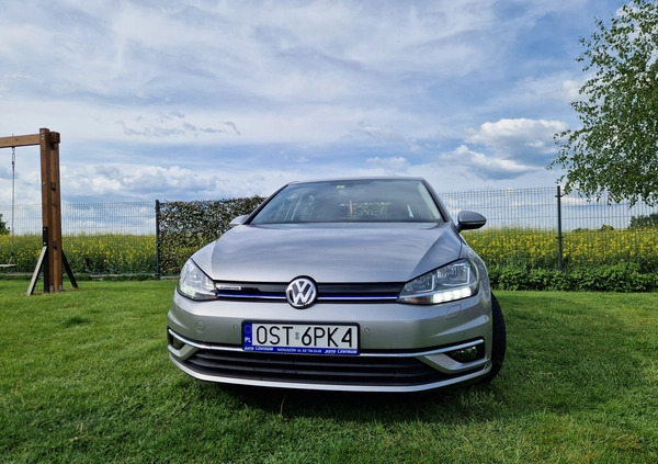 Volkswagen Golf cena 72000 przebieg: 32000, rok produkcji 2017 z Ciechanowiec małe 742